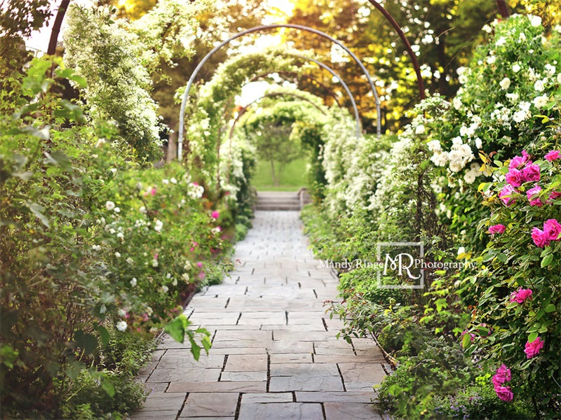 Kate Spring Secret Garden Path Backdrop Designed By Mandy Ringe Photography - Kate Backdrop