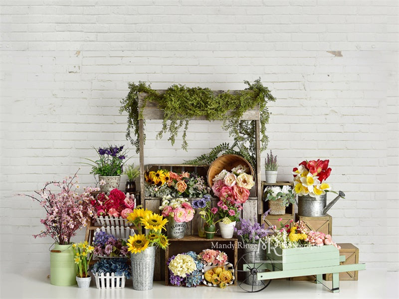 Kate Spring Flower Stand Backdrop Designed By Mandy Ringe Photography - Kate Backdrop