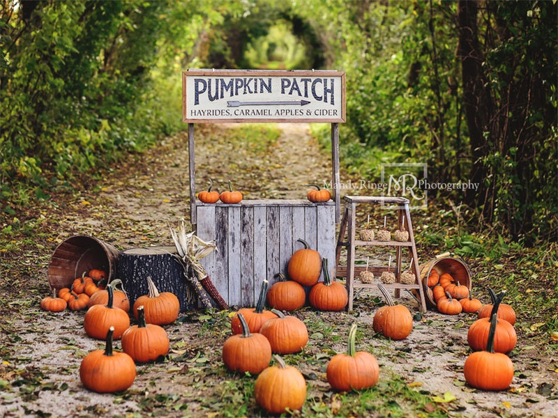 Kate Autumn/Thanksgiving Backdrop Pumpkin Stand Designed by Mandy Ringe Photography - Kate Backdrop