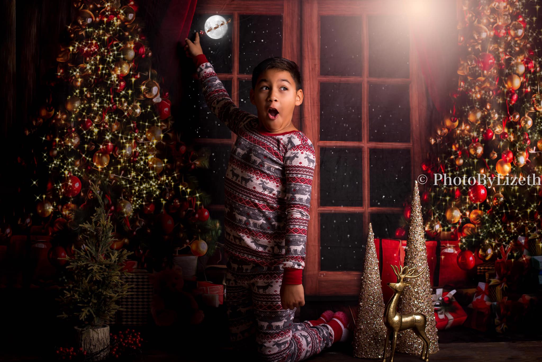 Kate Christmas Door Winter Backdrop for Photography - Kate Backdrop