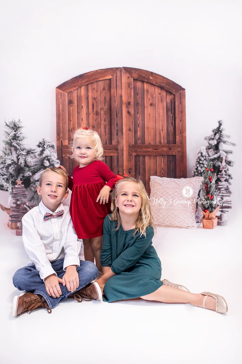 Kate Christmas Tree Backdrop Barn Door for Photography - Kate Backdrop
