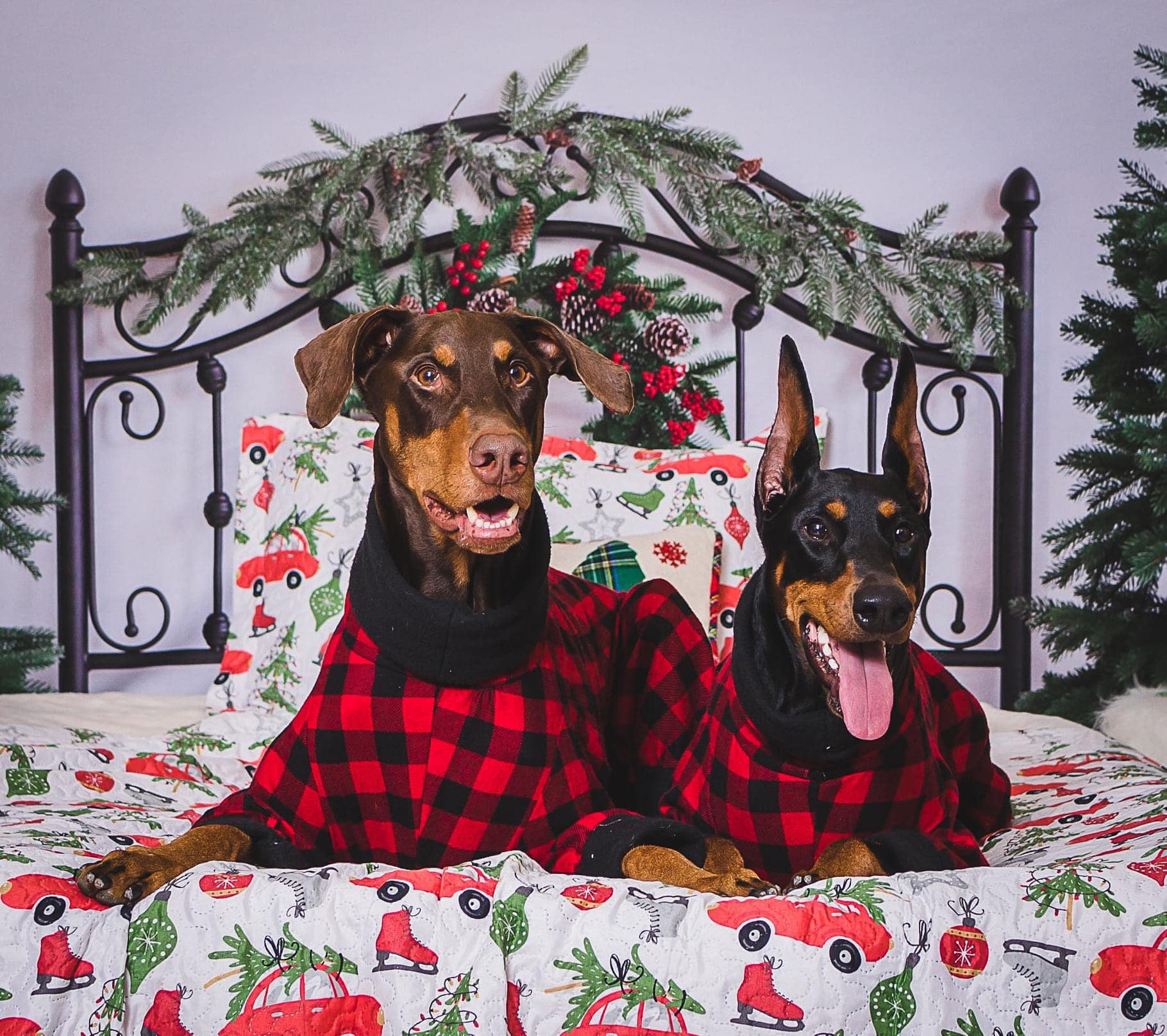 Kate Christmas Bed Backdrop Headboard Designed by Emetselch - Kate Backdrop