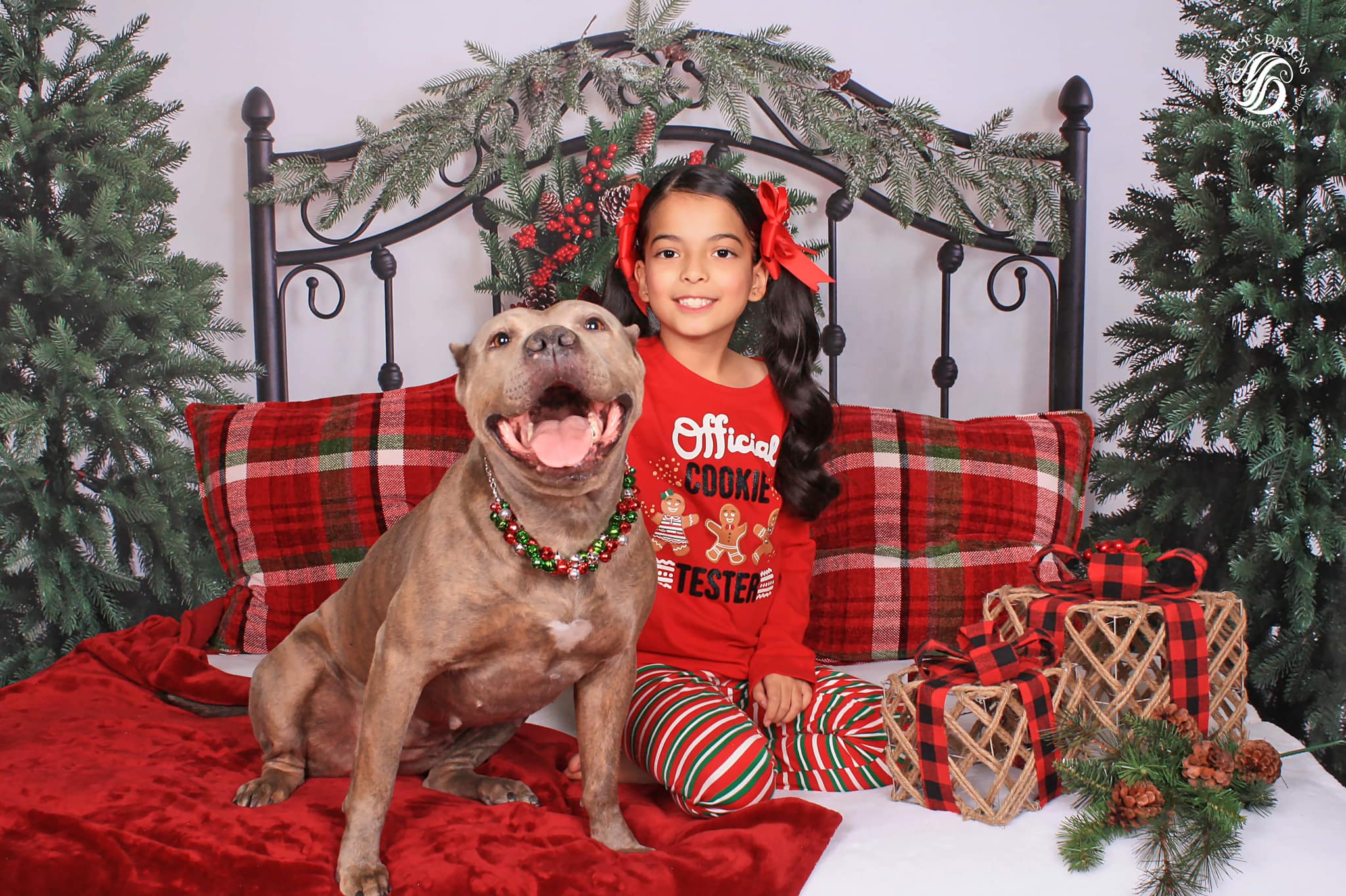 Kate Christmas Bed Backdrop Headboard Designed by Emetselch - Kate Backdrop