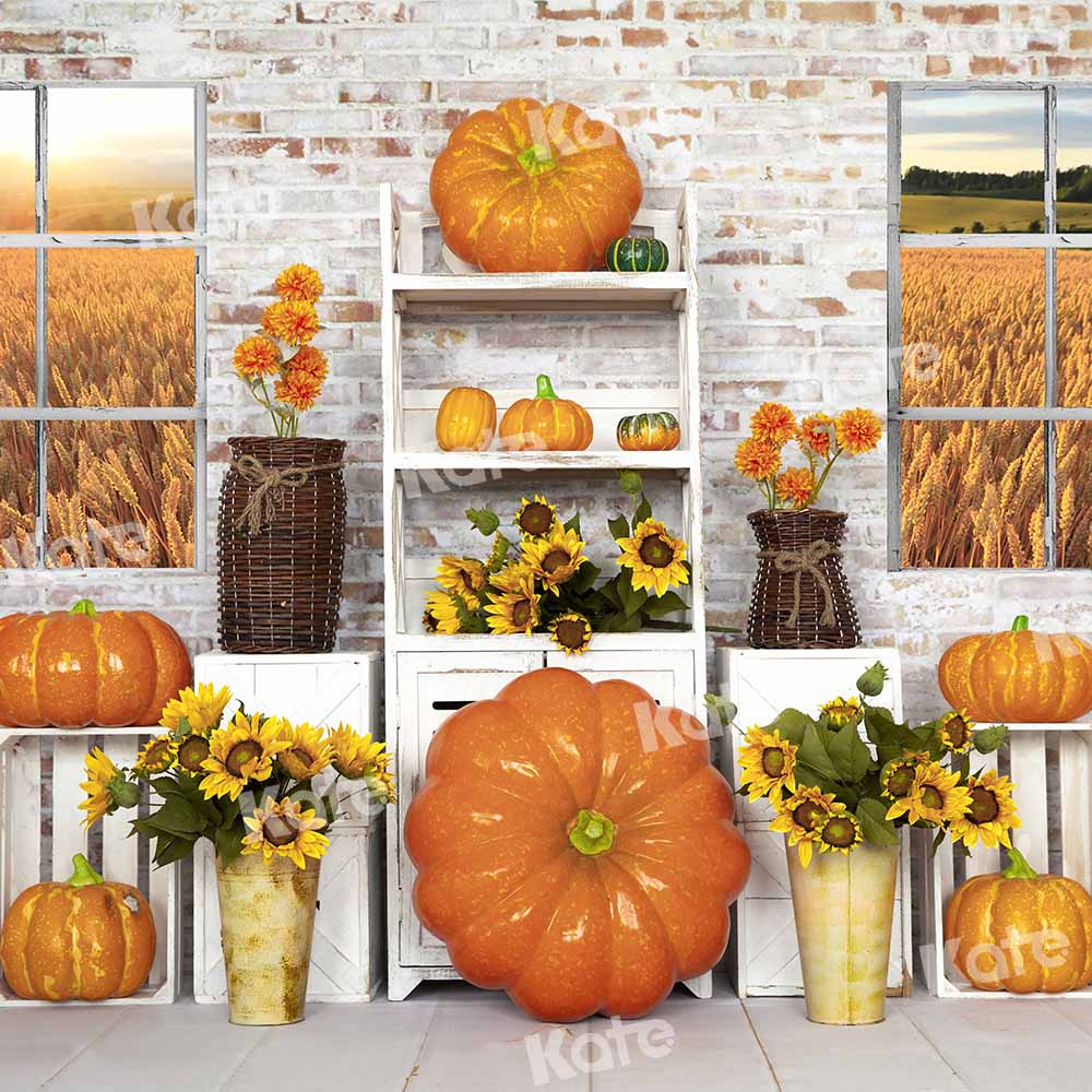 Kate Fall Pumpkin Backdrop White Window Designed by Emetselch - Kate Backdrop