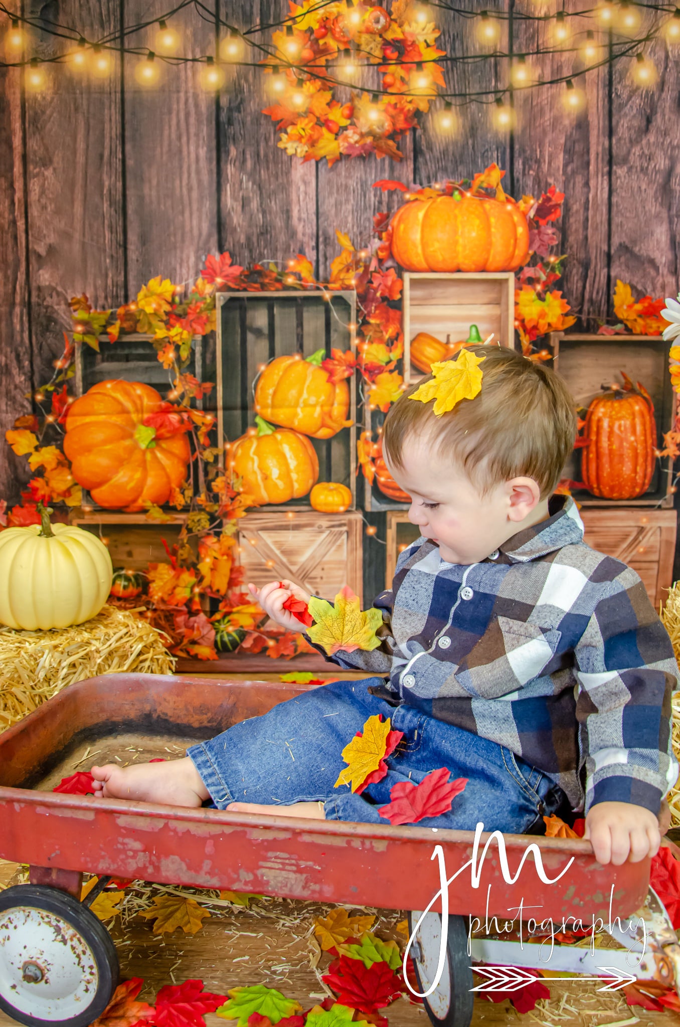 Kate Pumpkin Backdrop Fall Lights Designed by Emetselch - Kate Backdrop