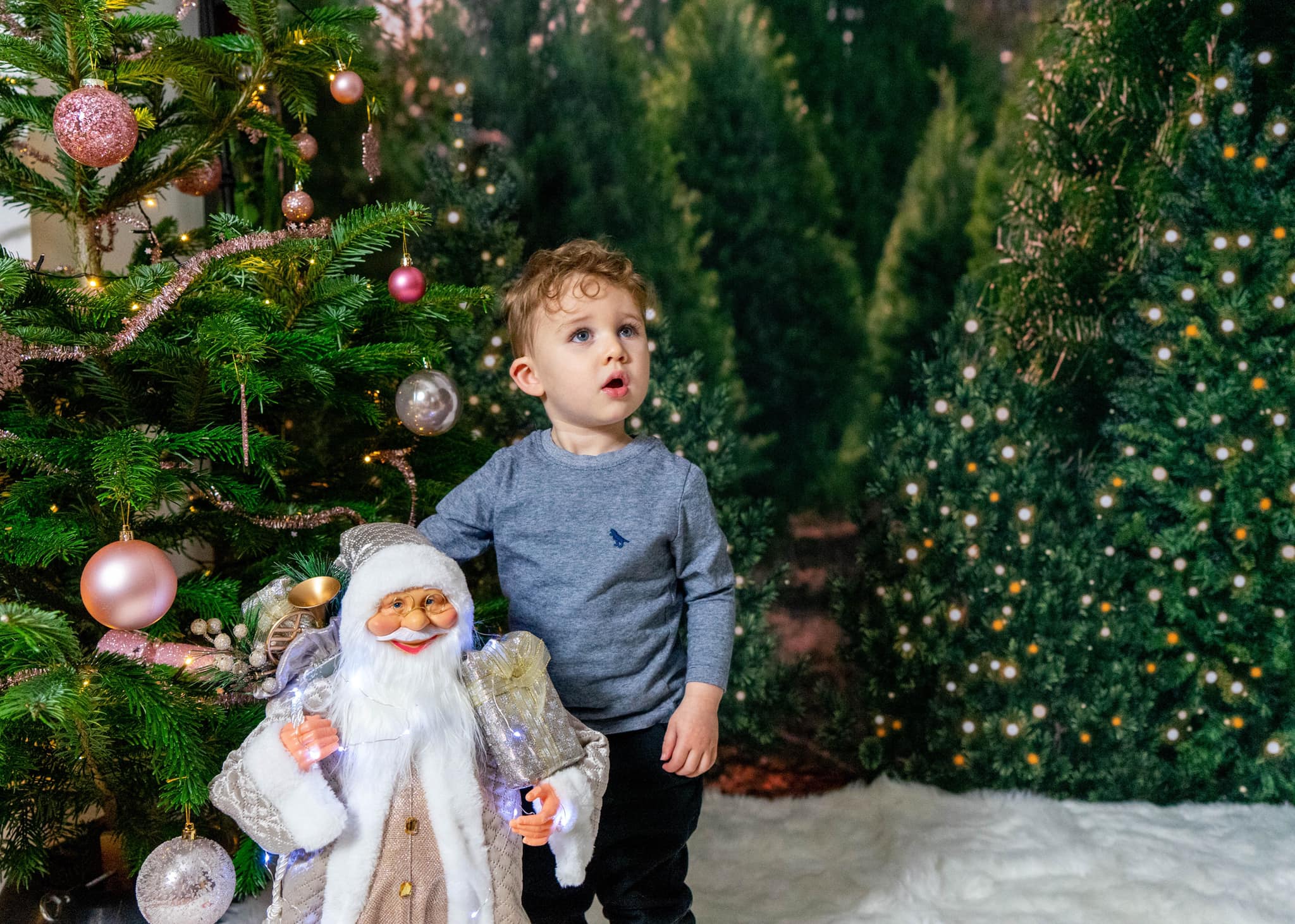 Kate Christmas Trees Backdrop Forest for Photography - Kate Backdrop