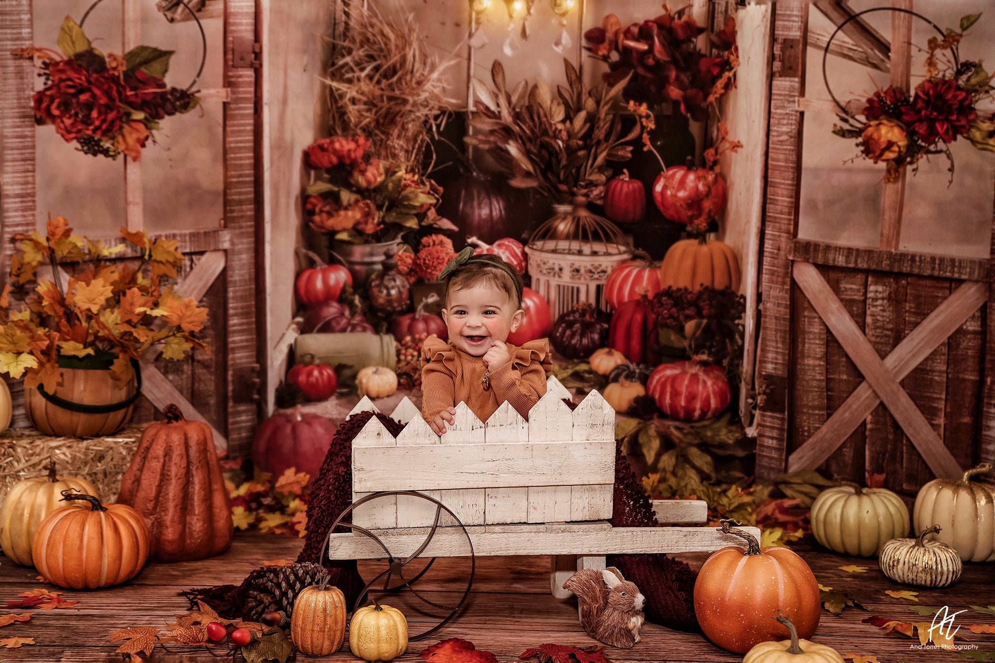 Kate Fall Backdrop Barn Pumpkin Mini Greenhouse designed by Arica Kirby - Kate Backdrop