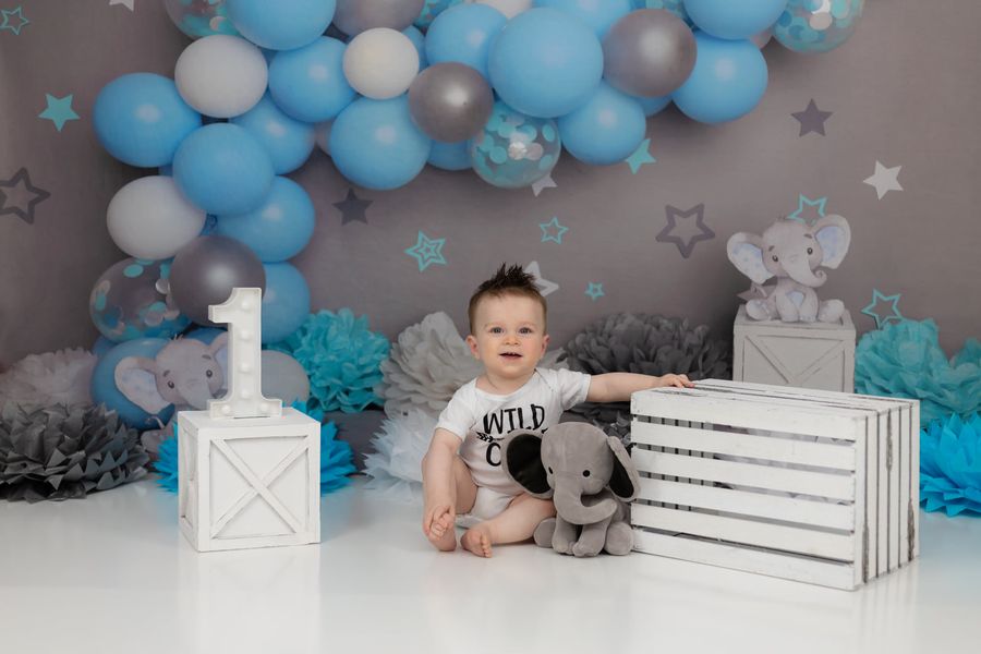 Kate Gray Wall Elephant Backdrop Cake Smash Blue Balloon for Photography Designed by Melissa King - Kate Backdrop