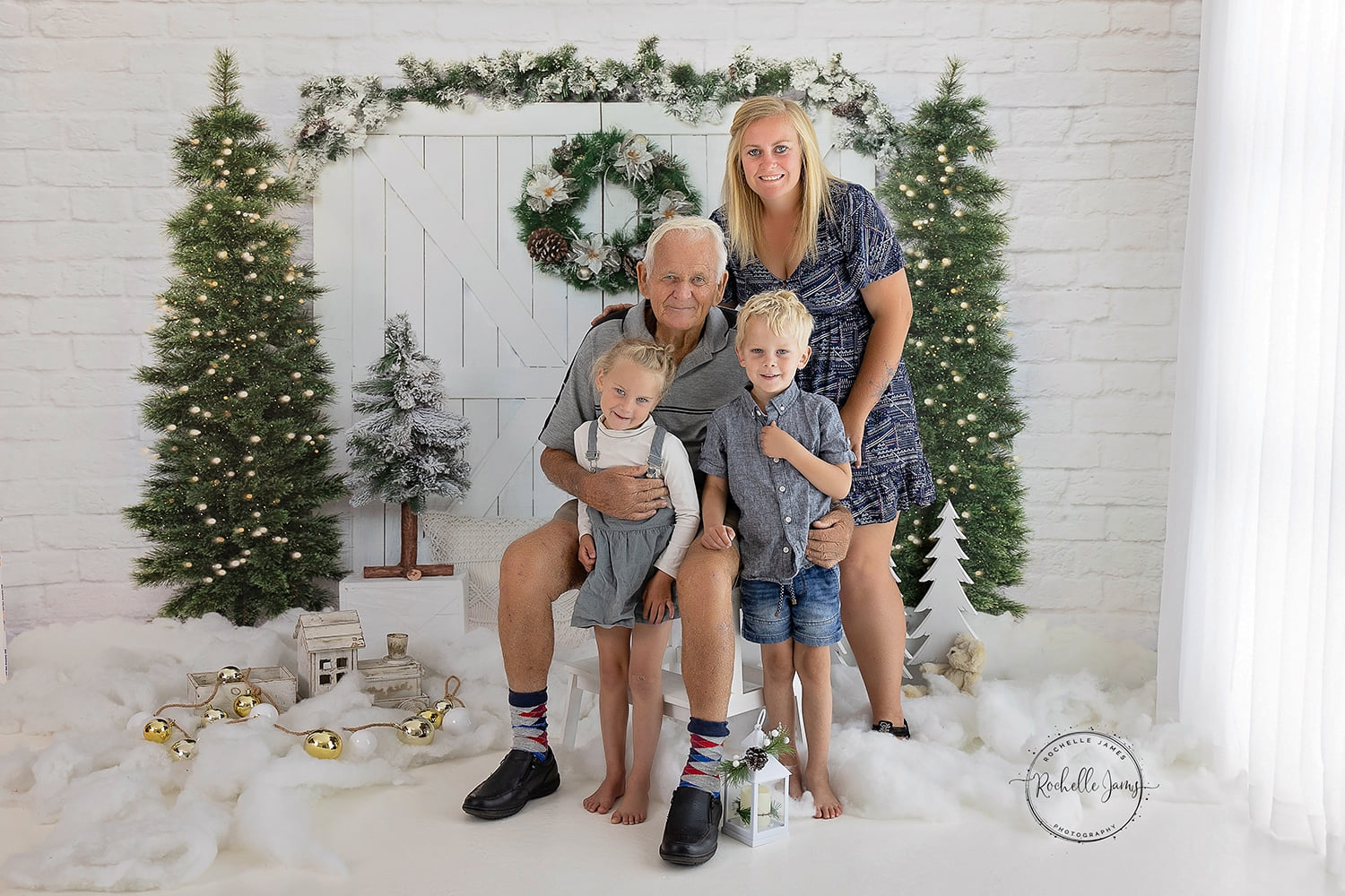Kate Christmas Tree Backdrop Barn Door Designed by Emetselch - Kate Backdrop