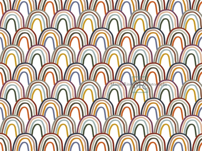 Kate Colorful Boho Backdrop Rainbow Pattern Designed by Mandy Ringe Photography - Kate Backdrop