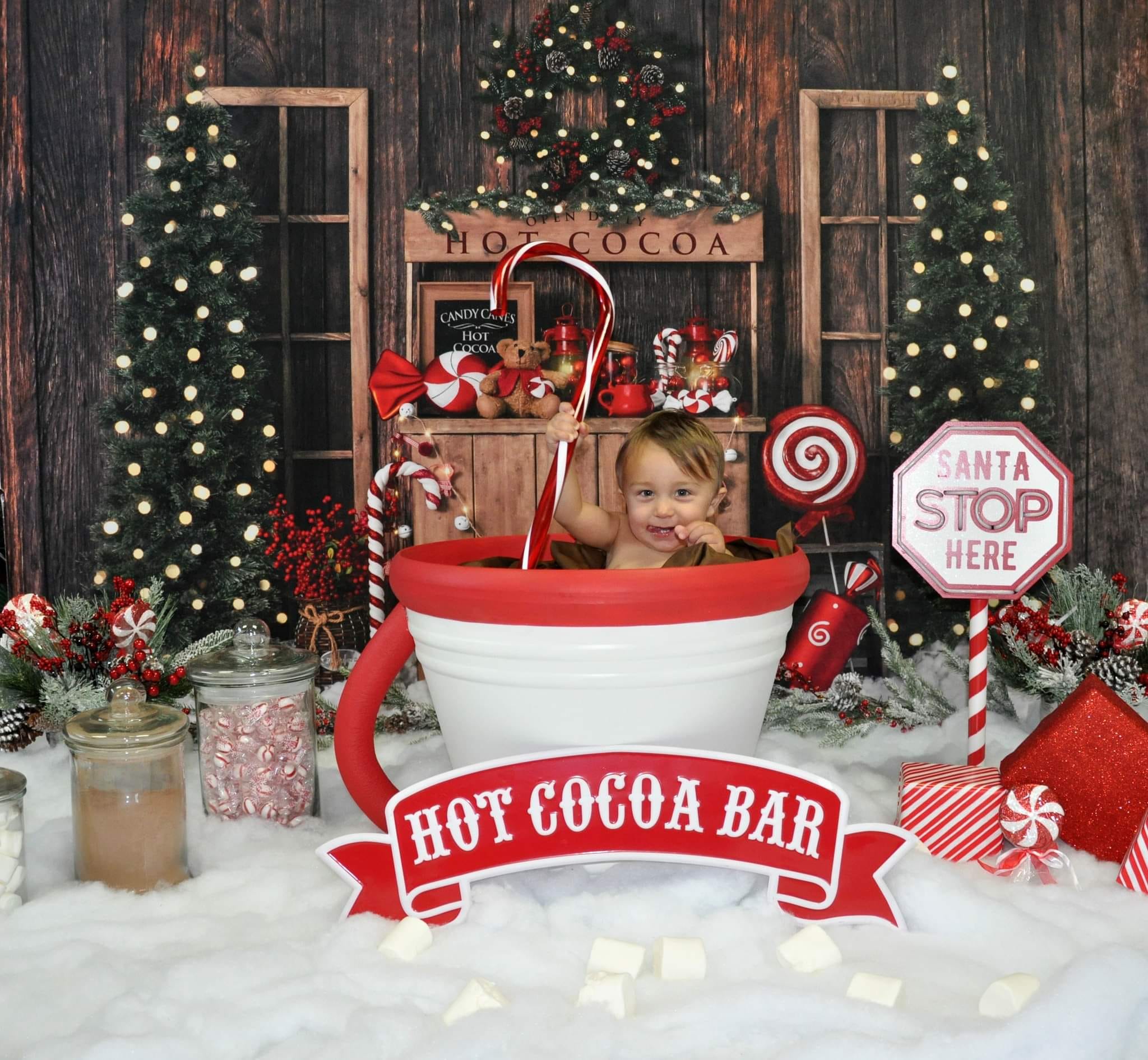 Kate Christmas Tree Backdrop Winter Hot Cocoa Designed by Emetselch - Kate Backdrop