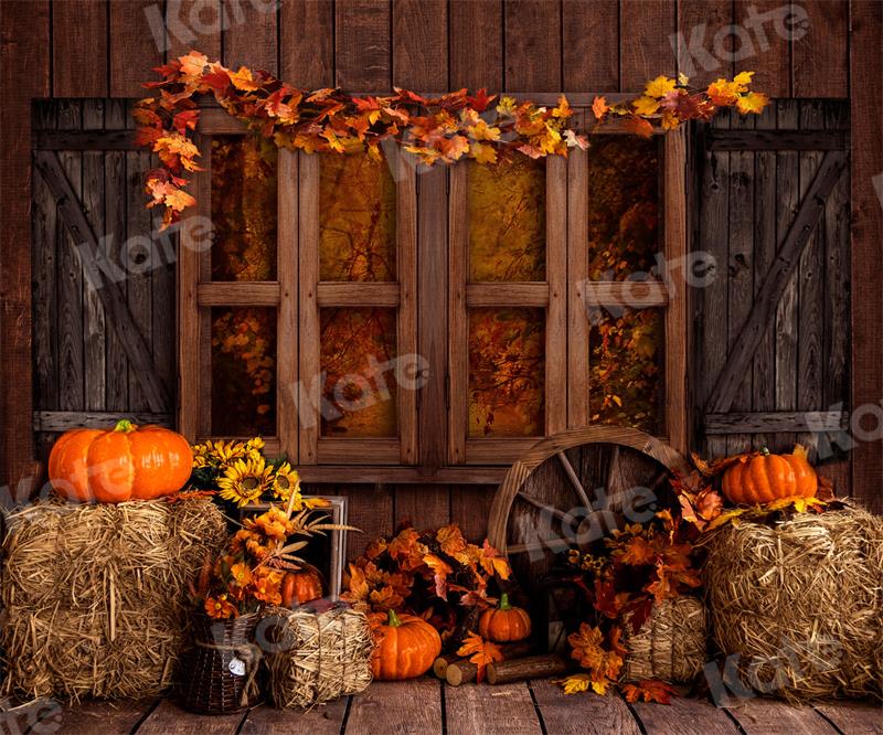 Herfstachtergrond Schuur Boerderij Pompoenen voor Fotografie