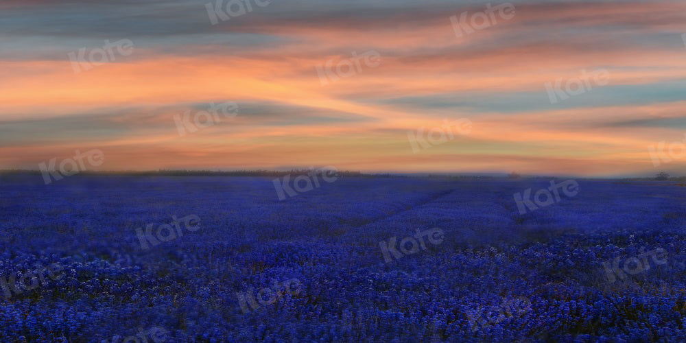 Zonsondergang bloemenachtergrond natuur lavendel voor fotografie