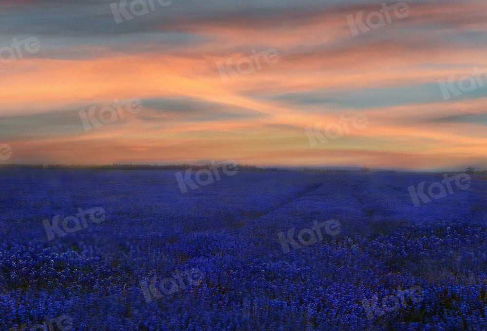 Zonsondergang bloemenachtergrond natuur lavendel voor fotografie