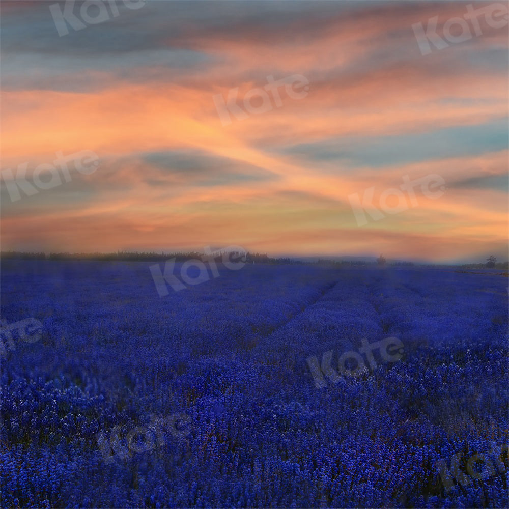 Zonsondergang bloemenachtergrond natuur lavendel voor fotografie