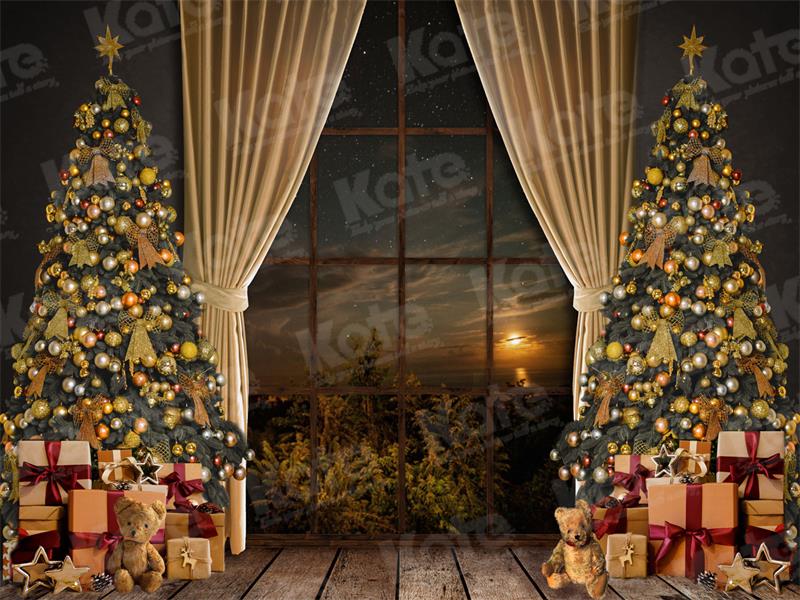 Kate Warm Christmas Backdrop Window for Photography