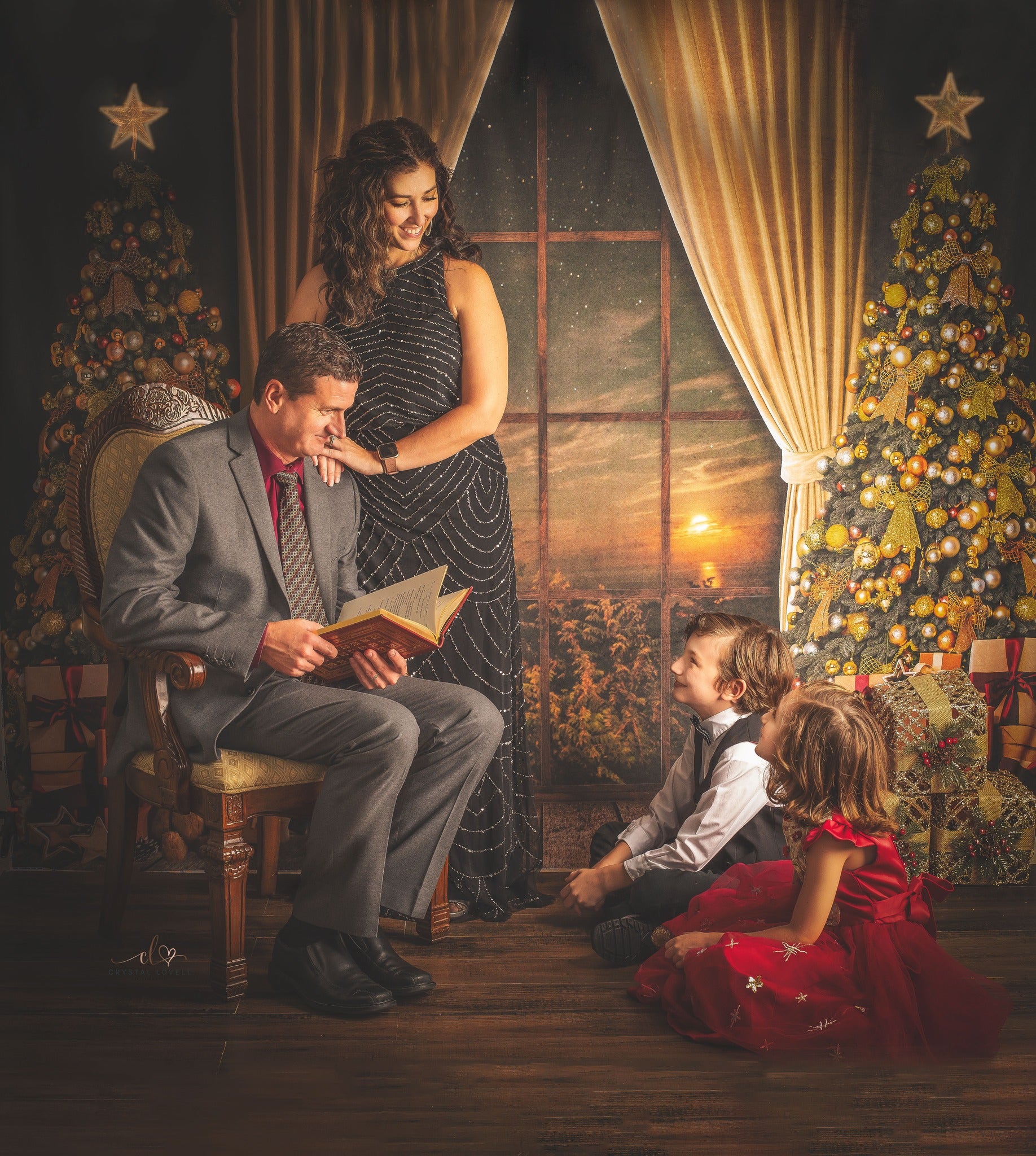 Kate Warm Christmas Backdrop Window for Photography