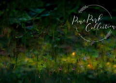 Fairy Garden Whimsy Vloer Foto Achtergrond Ontworpen Door Pine Park Collection