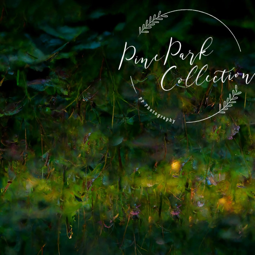 Colección Pine Park: Decorado de Suelo con Temática de Jardín de Hadas y Capricho