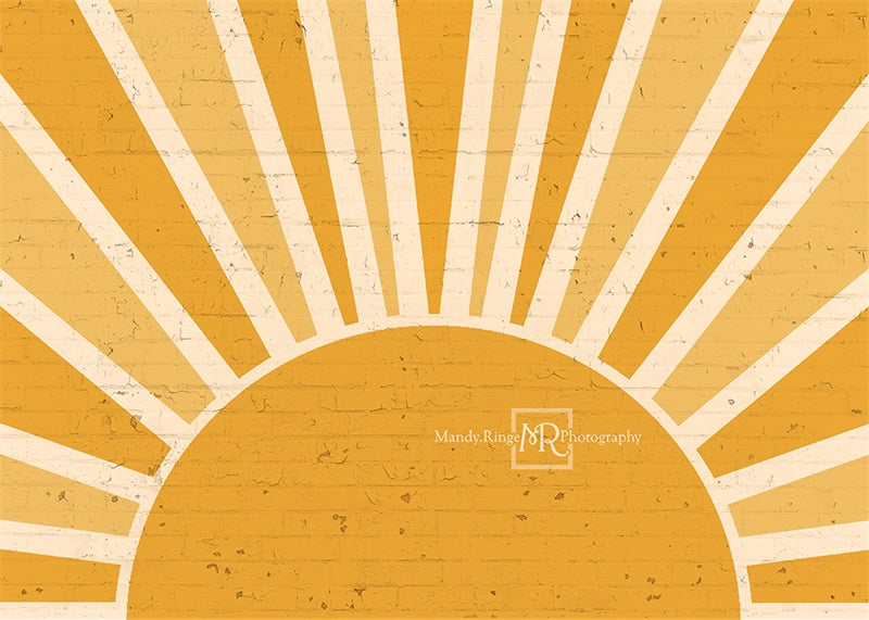 Kate You are my Sunshine Brick Wall Backdrop Designed by Mandy Ringe Photography