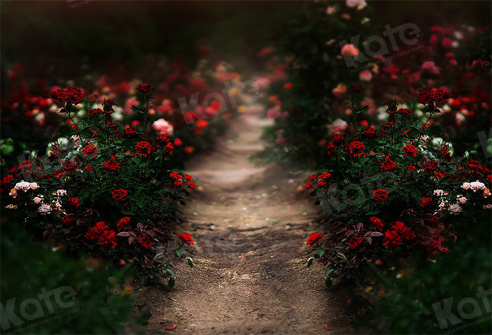 Fondo de camino de jardín de rosas para fotografía del Día de San Valentín