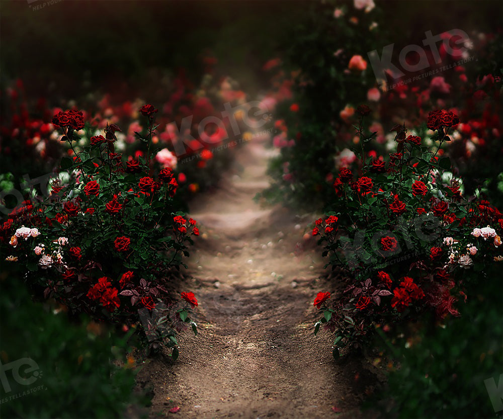 Fondo de camino de jardín de rosas para fotografía del Día de San Valentín