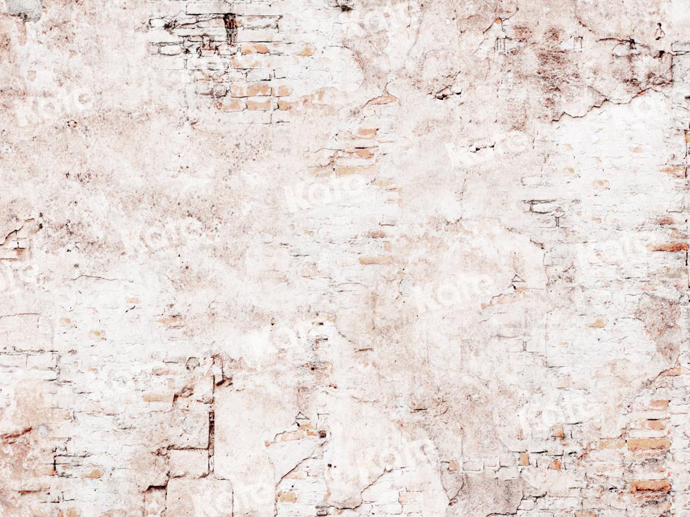 Kate Shabby Brick Wall Backdrop Designed by Kate Image