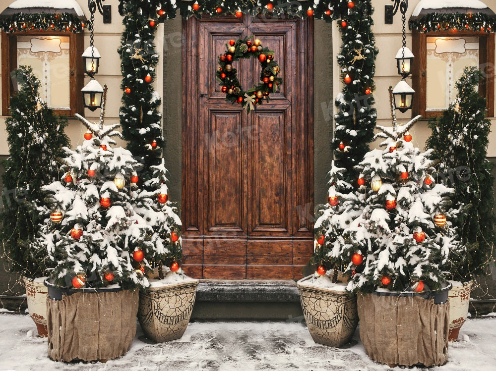 Kate Christmas Arch Outdoor Tree Yard Backdrop for Photography