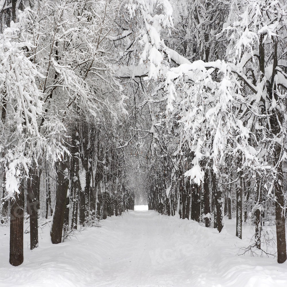 Bosque de Invierno con Nieve como Telón de Fondo para Fotografía