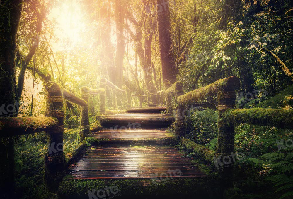 Forest Avenue Sunshine Foto Achtergrond Ontworpen door Chain Photography