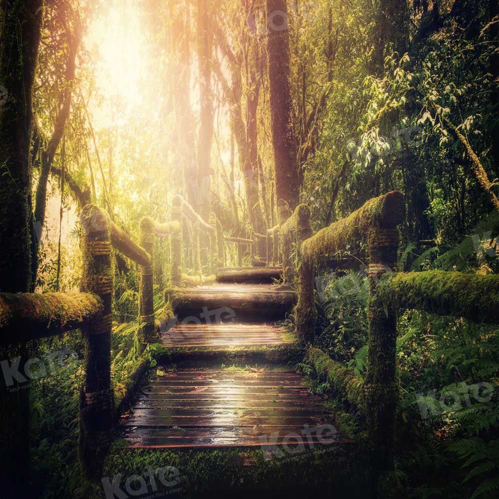 Forest Avenue Sunshine Foto Achtergrond Ontworpen door Chain Photography