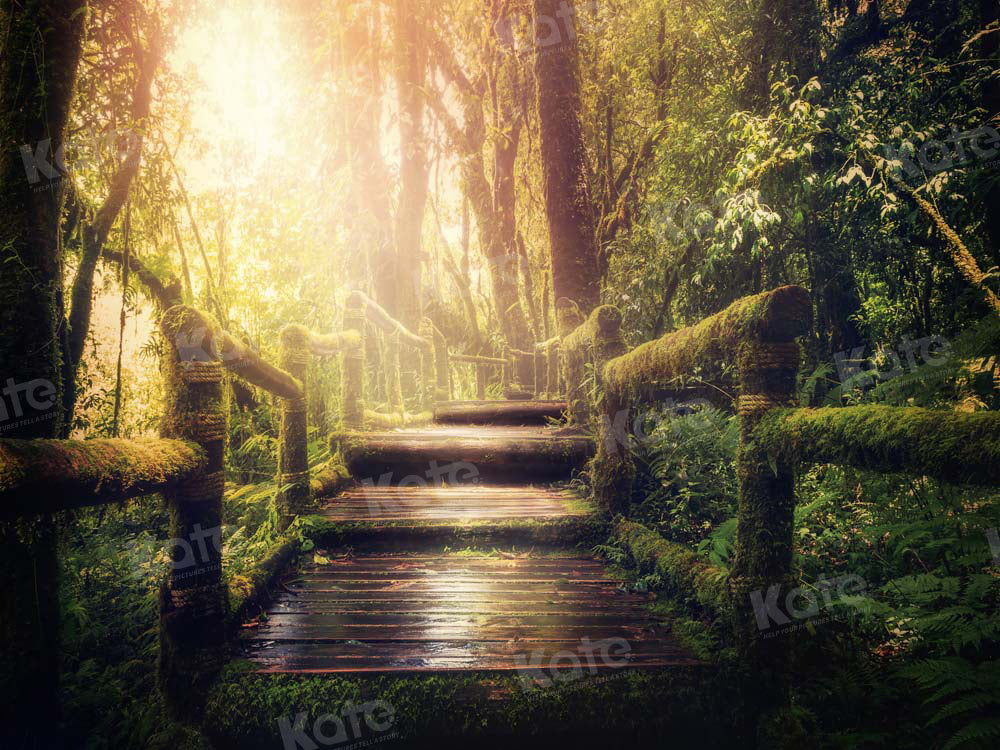 Forest Avenue Sunshine Foto Achtergrond Ontworpen door Chain Photography