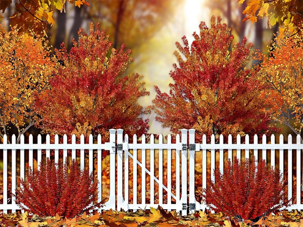 Herfst Boom Park Foto Achtergrond Ontworpen door Ashley Paul