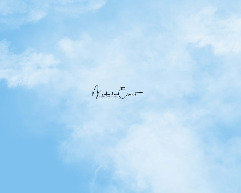 Kate Blue Sky Backdrop Designed By Michele Ernst Photography