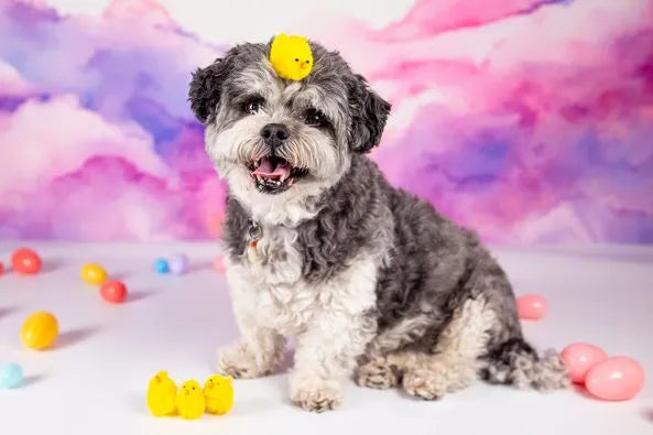 Fondo de algodón de azúcar en el cielo diseñado por Patty Robert