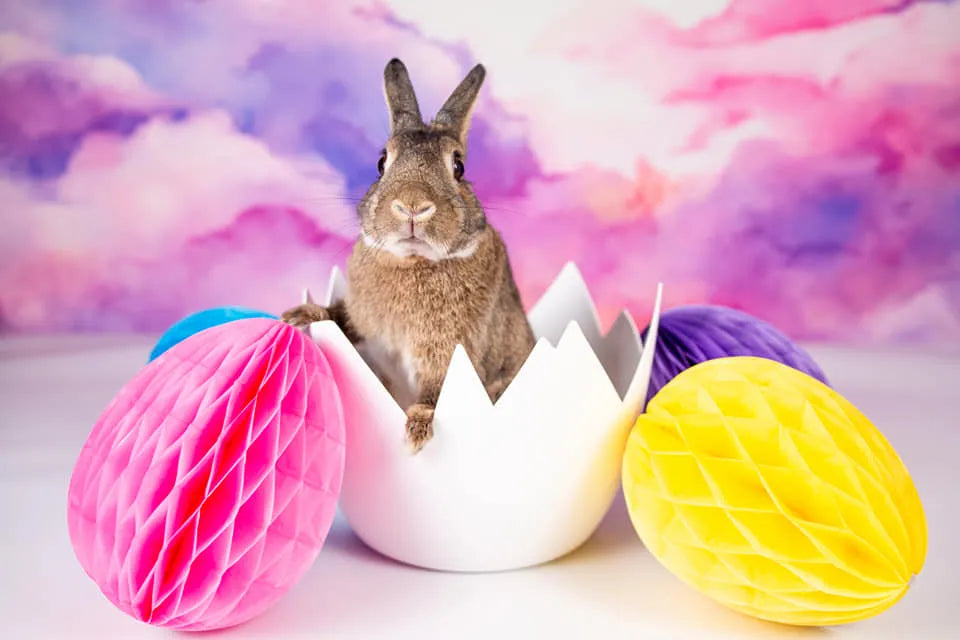 Kate Pet Cotton Candy Sky Backdrop Designed by Patty Robert