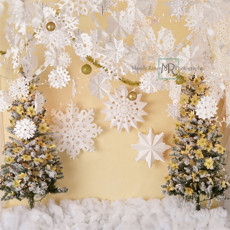 Kate Gold and White Paper Snowflake Christmas Backdrop Designed by Mandy Ringe Photography