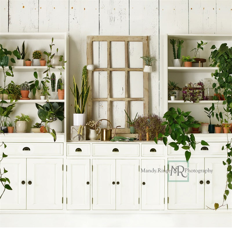 Plant Lover Keuken Fris Zomer Foto Achtergrond Ontworpen door Mandy Ringe Fotografie