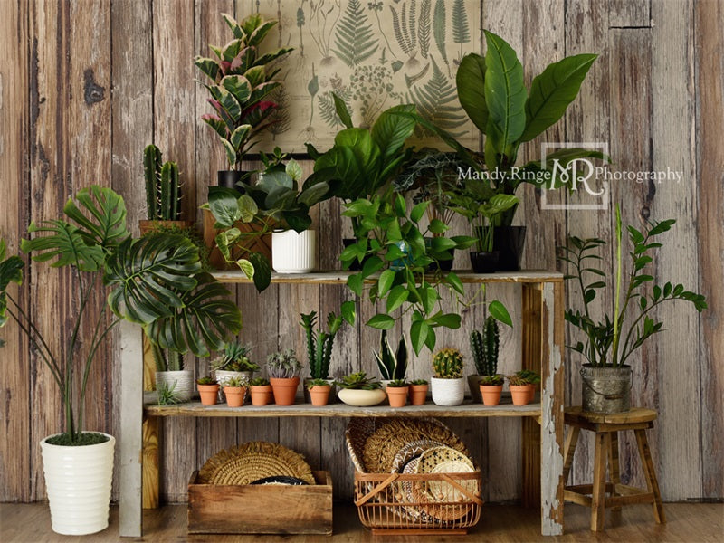 Norcinosi Rustic Plant Shop Summer Backdrop Progettato da Mandy Ringe Photography