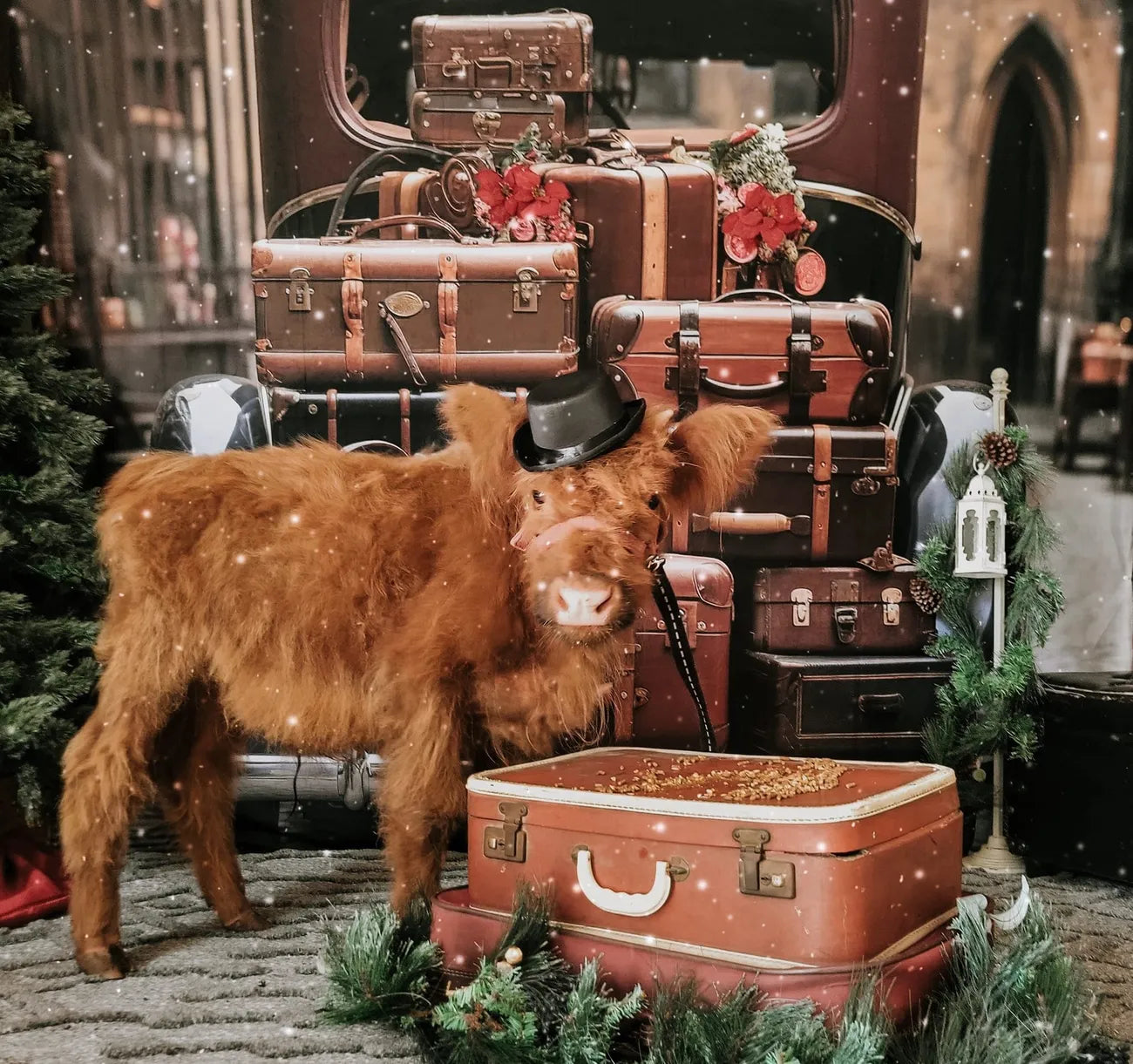 Paseo en camión de equipaje para mascotas por todo el mundo: fondo diseñado por Chain Photography