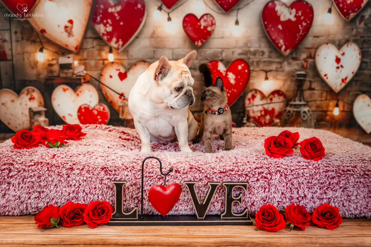 Kate Pet Valentine's Day Industrial Sense Retro Lamp Wall Love Backdrop Designed by Emetselch