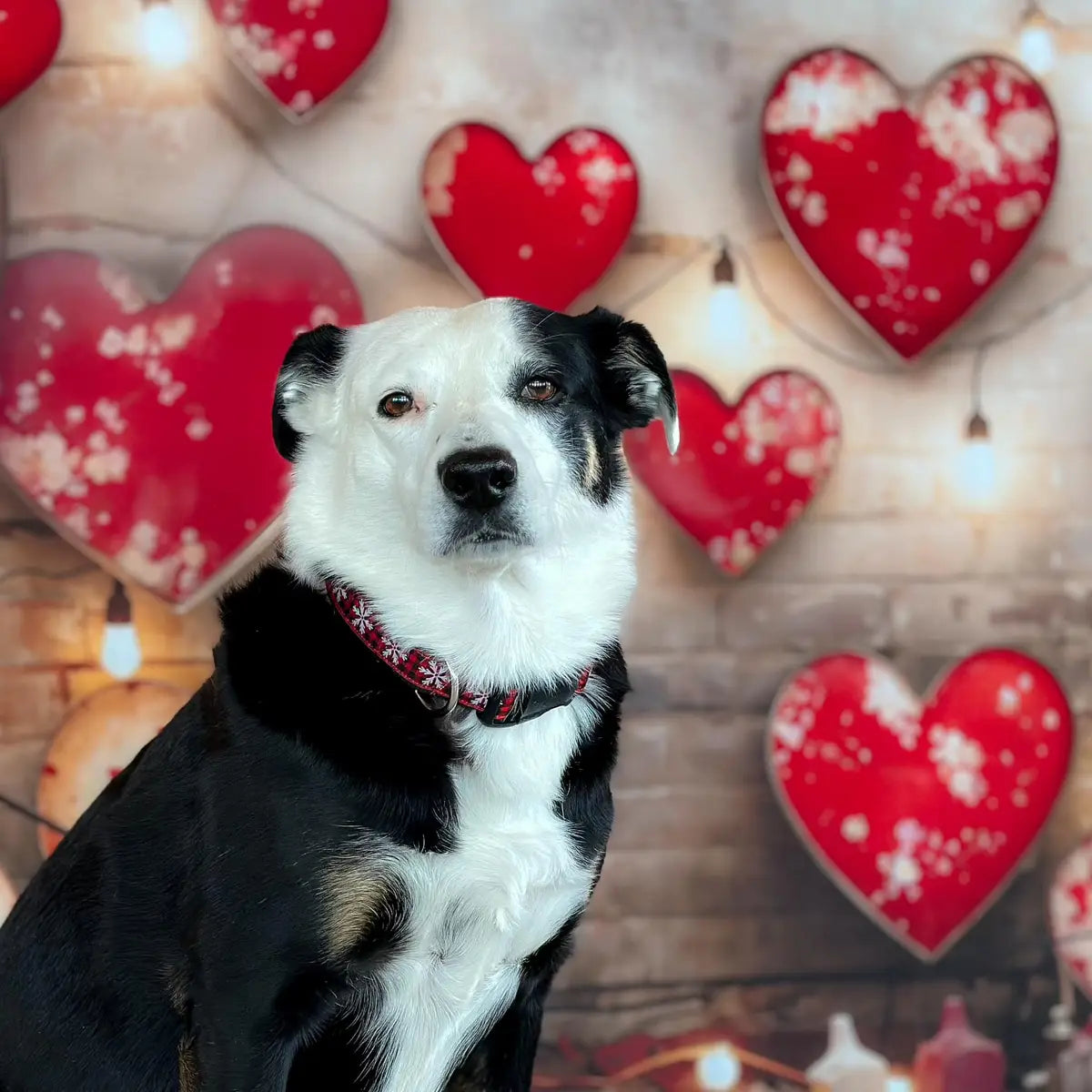 Kate Pet Valentine's Day Industrial Sense Retro Lamp Wall Love Backdrop Designed by Emetselch