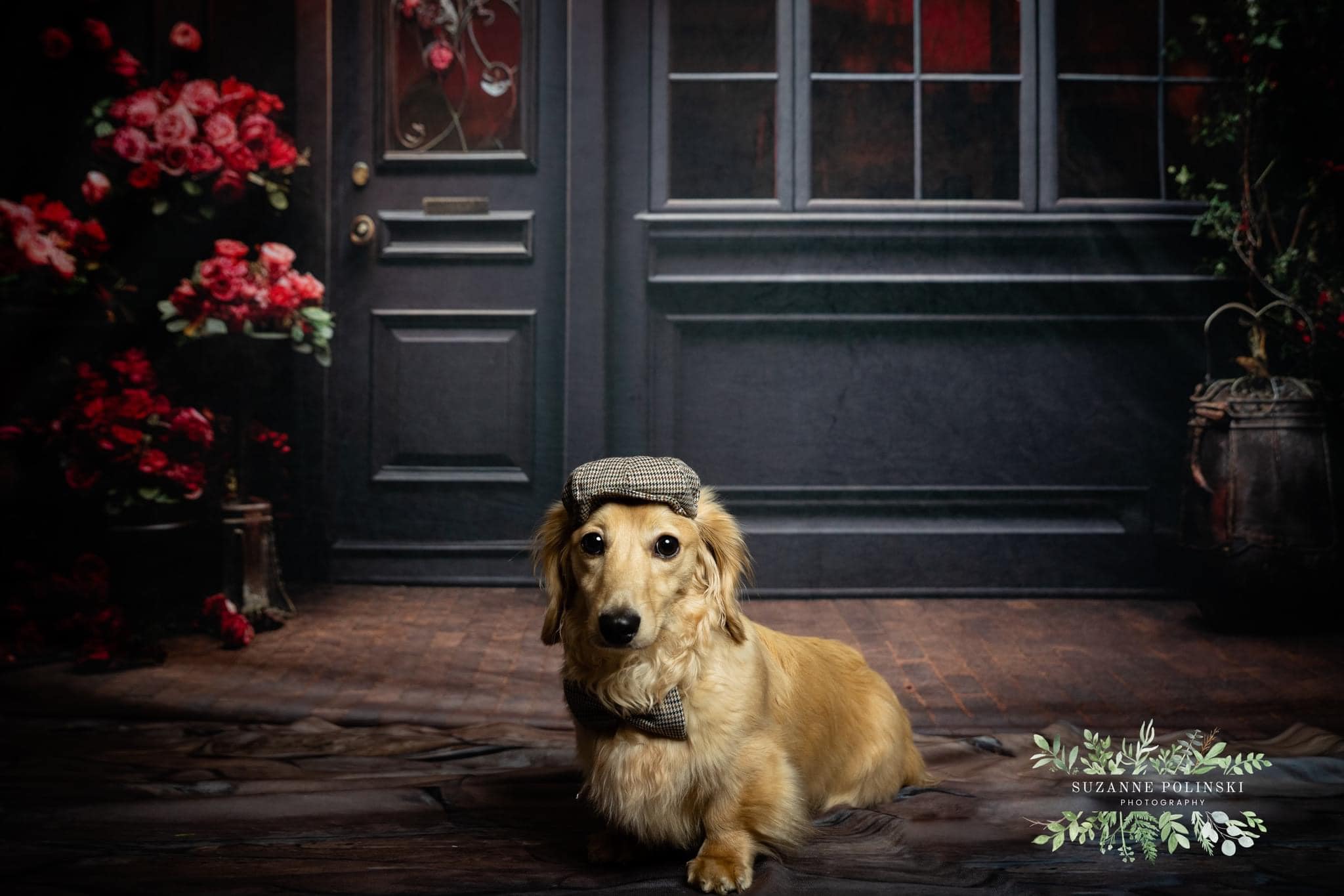 Kate Pet Valentine's Day Rose Floral House Door Backdrop Designed by Emetselch