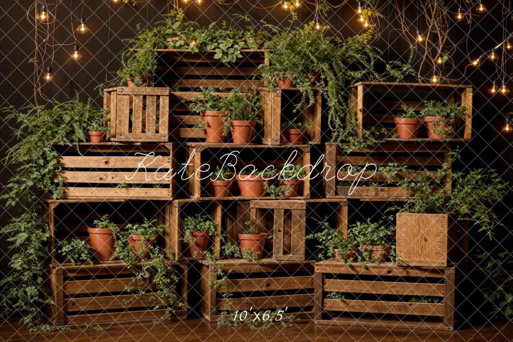 Planta verde de primavera en estante de madera de fondo diseñado por Emetselch.