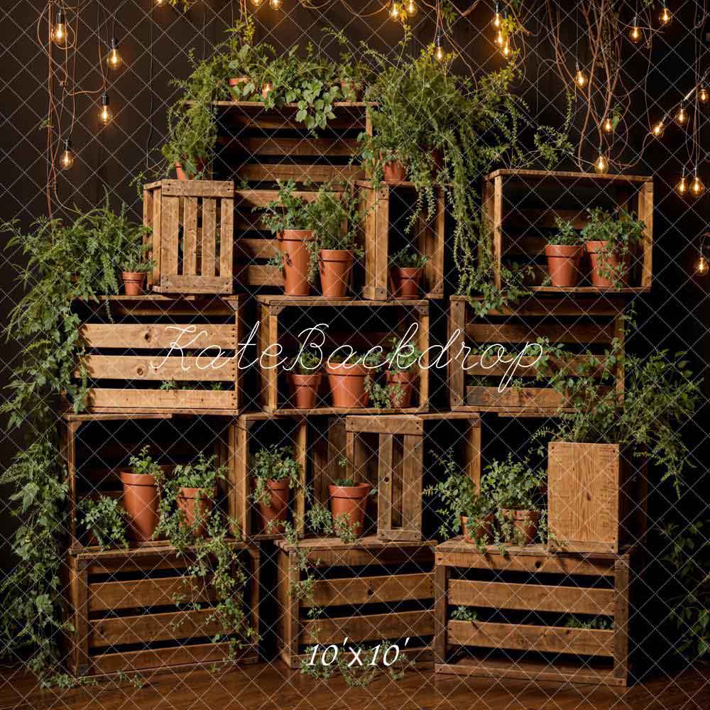 Planta verde de primavera en estante de madera de fondo diseñado por Emetselch.