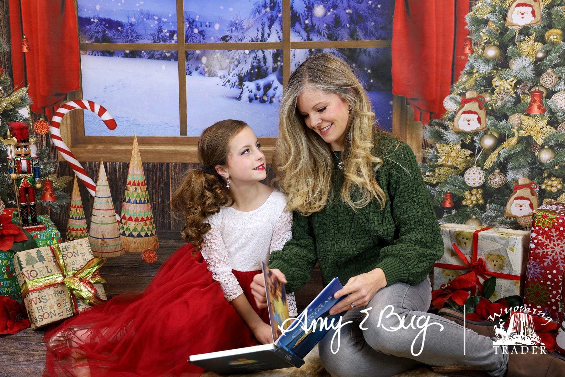 Kate Christmas Trees Window Backdrop Designed by Chain Photography - Kate Backdrop