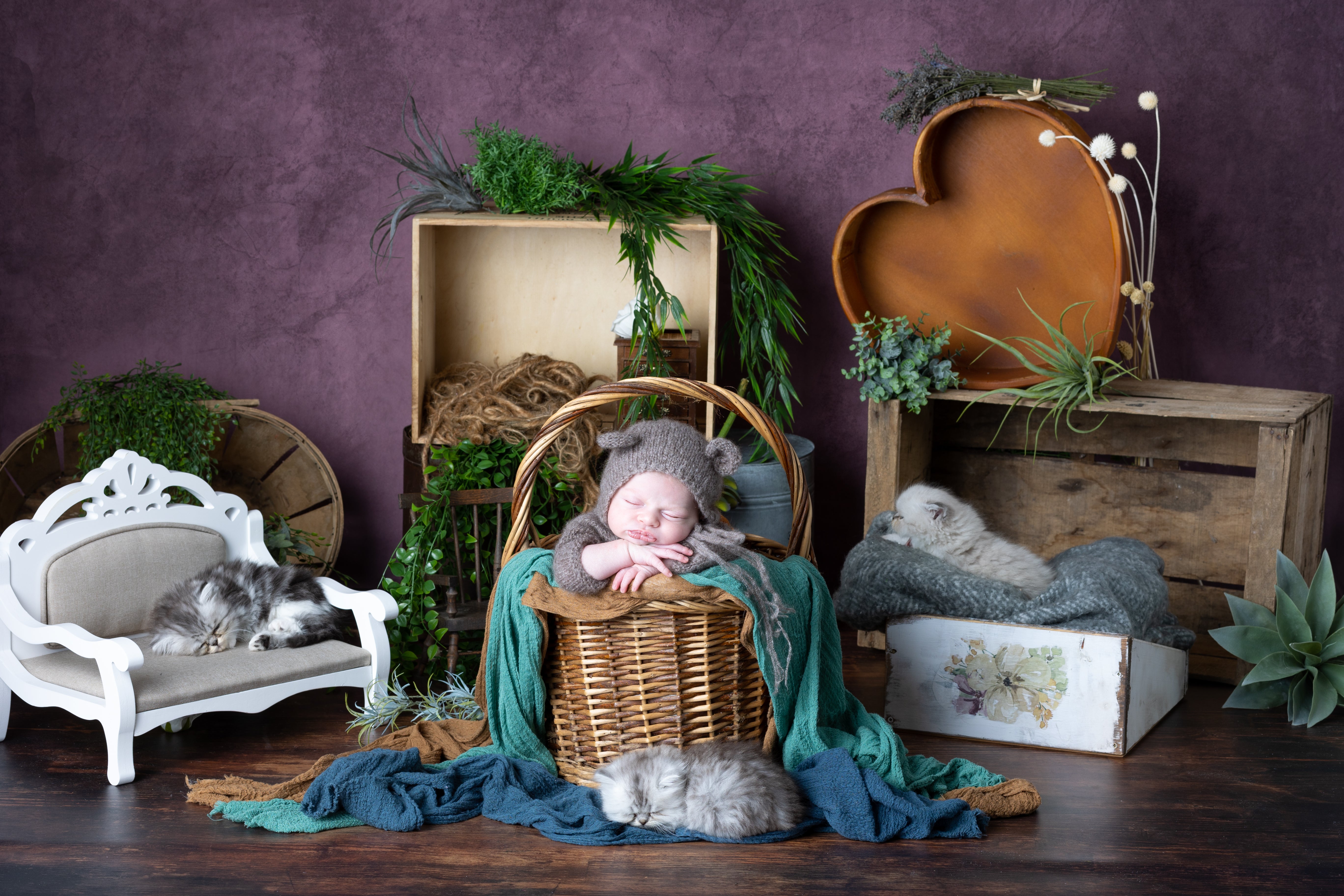 Kate Dark Chocolate Texture Abstract Background Photos Backdrop Portait - Katebackdrop