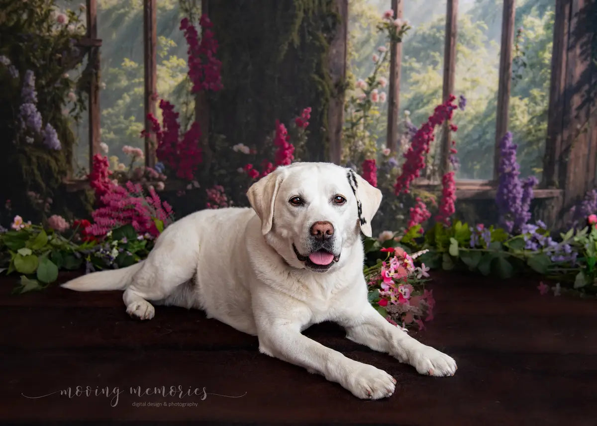 Arco de Flores de Primavera para Mascotas Diseñado por Emetselch