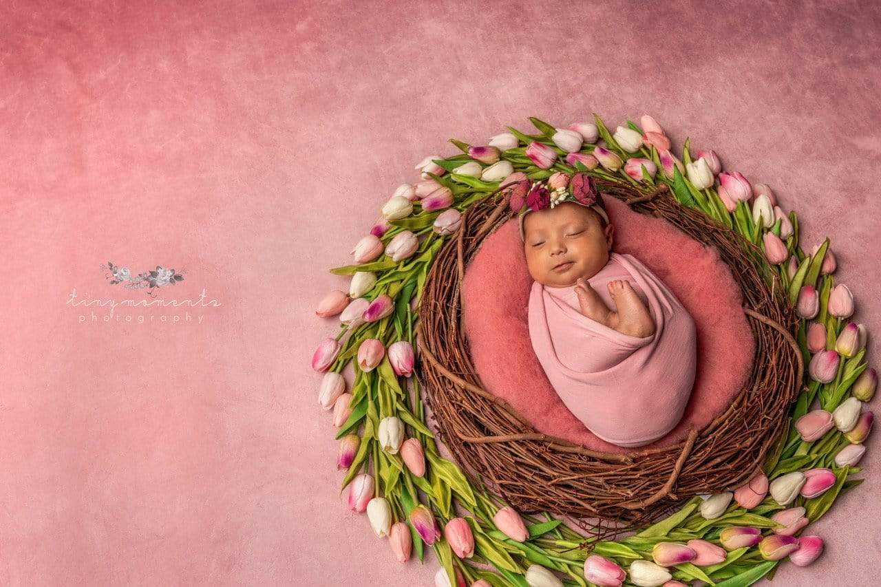 Katebackdrop:Kate Fine Art Pink Tones Abstract Texture Backdrop designed by Veronika Gant