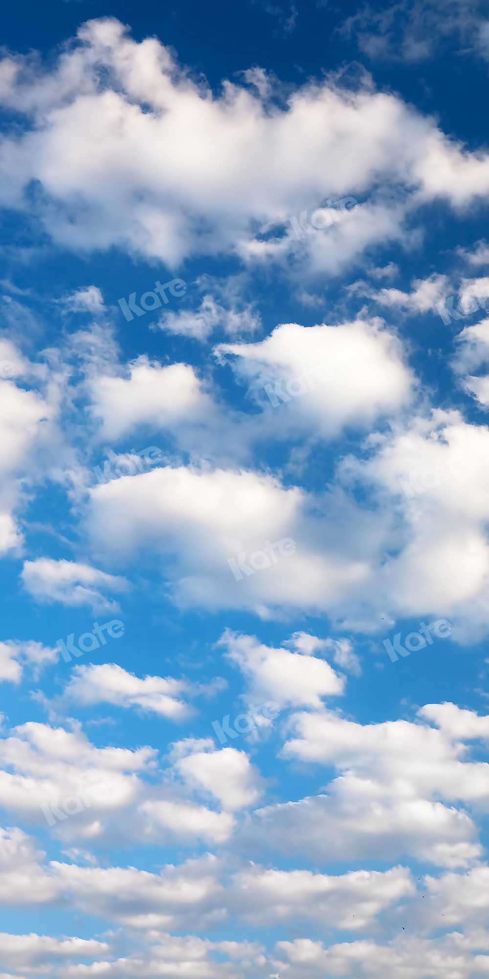 Kate Blue Sky Cloud Summer Backdrop Designed by Kate Image - Kate Backdrop